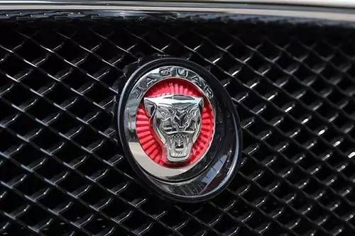 車標(biāo)上的動(dòng)物都是啥來頭？看完又能出去裝X了