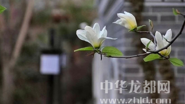 淮陽蓮舍，多了一份味道