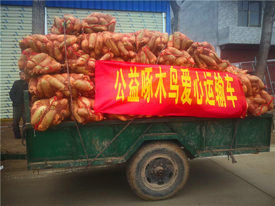 ＂愛心蘿卜＂來了！