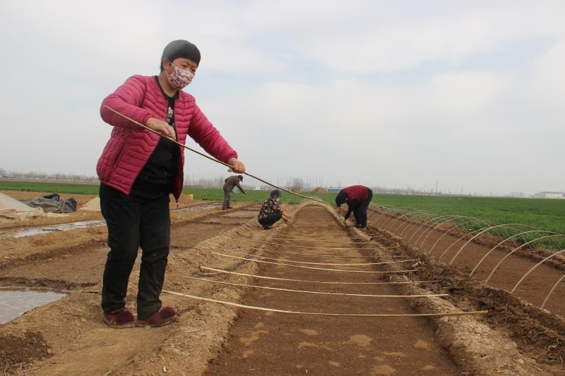 疫情防控、春耕生產(chǎn)兩手抓